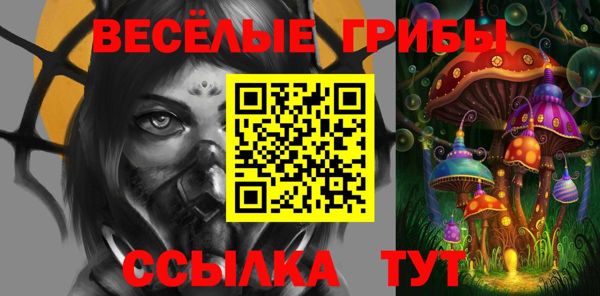 Сокол  Псилоцибиновые грибы прущие грибы  Вход с VPN  Псилоцибиновые грибы Psilocybine cubensis 