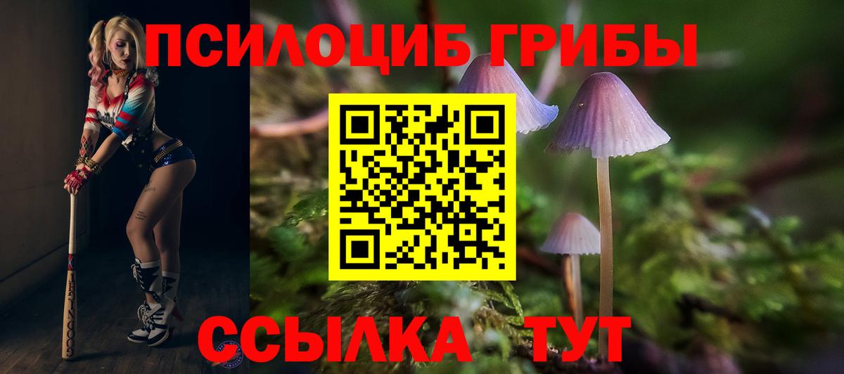 Галлюциногенные грибы прущие грибы Сокол